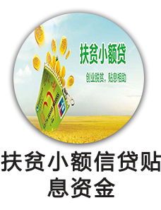 扶贫小额信贷贴息资金