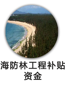 海防林工程补贴资金