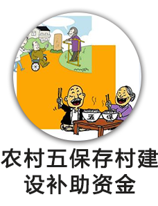 农村五保存村建设补助资金