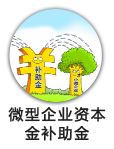 微型企业资本金补助金